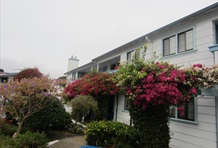 Quality Inn Monterey